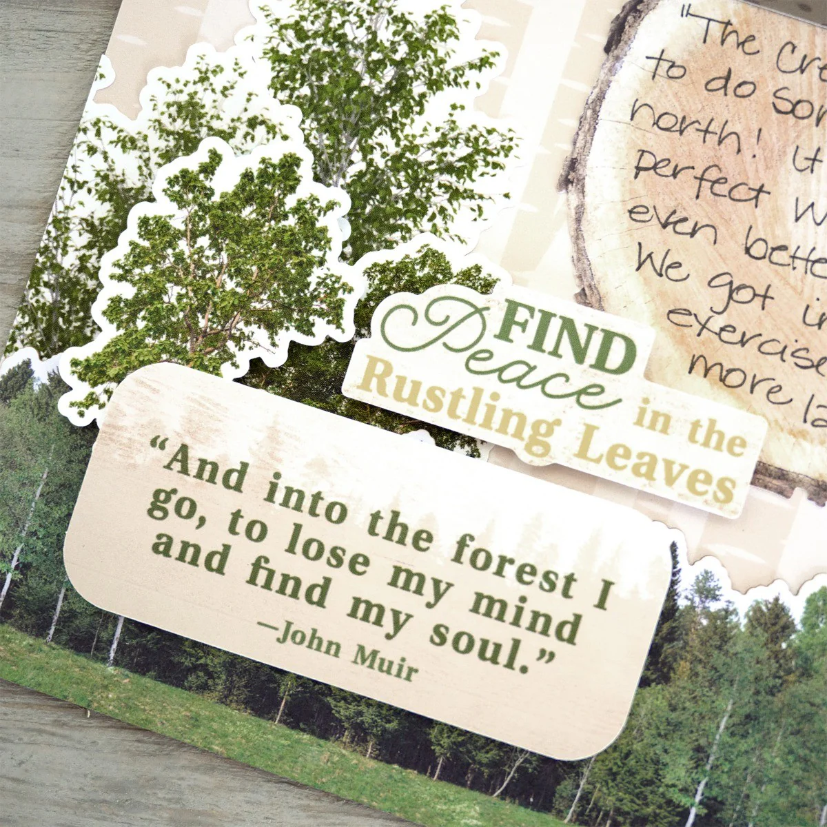 Deeper in the Woods Stickers (3/pk) - Image 2