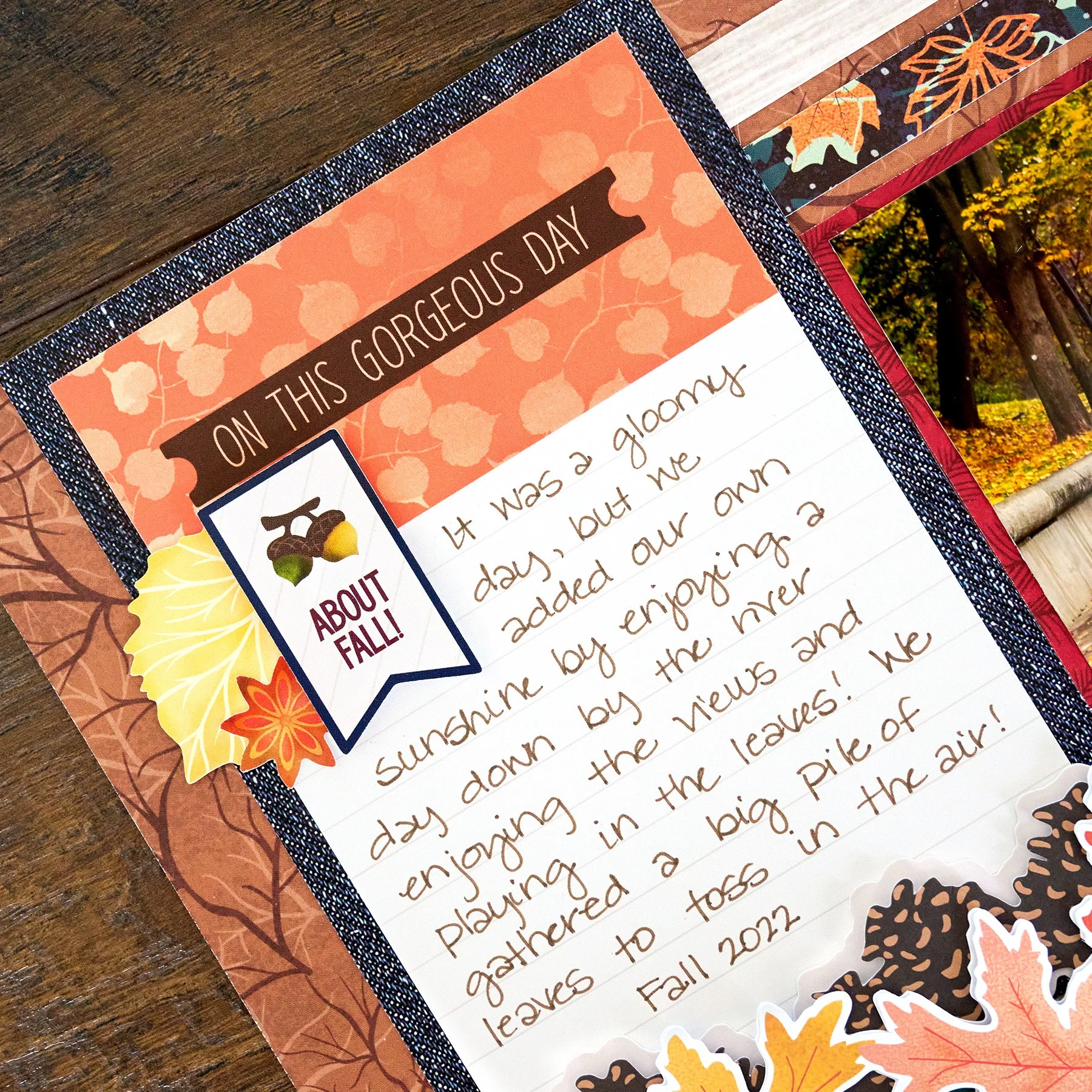 Golden Harvest Variety Mat Pack (24/pk) - Image 3