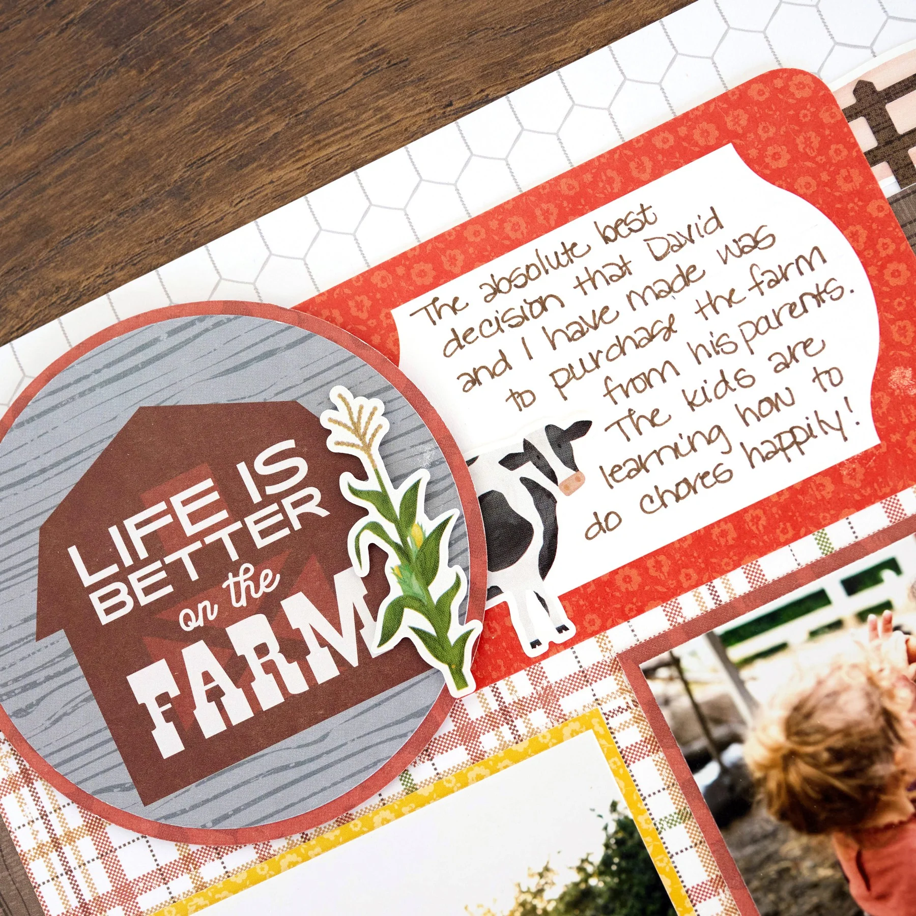 On the Farm Variety Mat Pack (24/pk) - Image 3