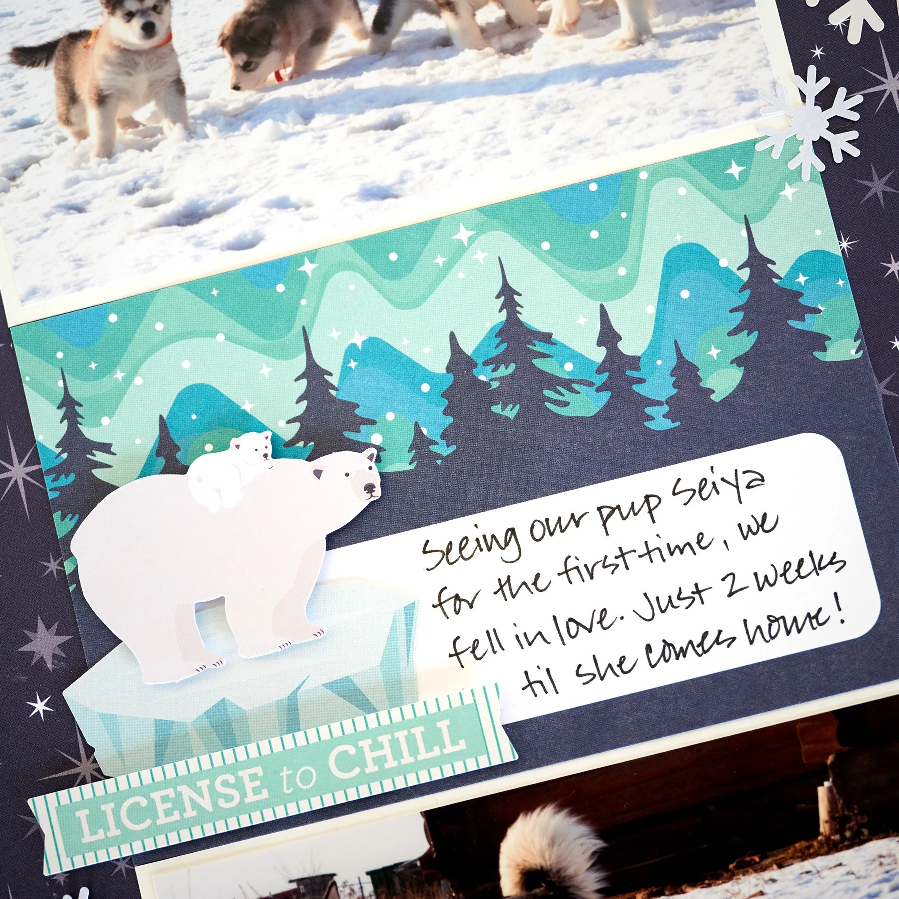 Polar Lights Variety Mat Pack (24/pk) - Image 3