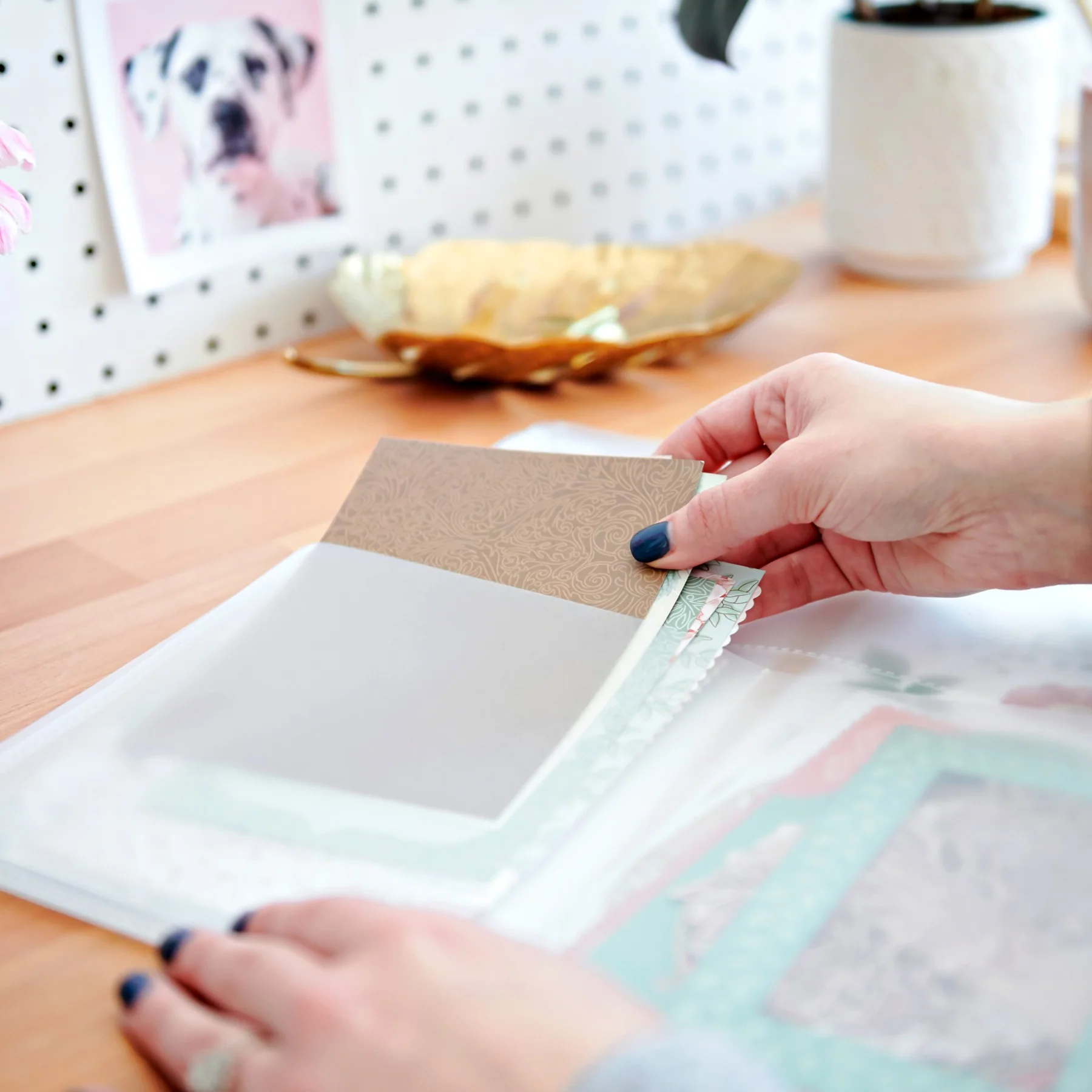 Power® Project Folders (4/pk) - Image 4